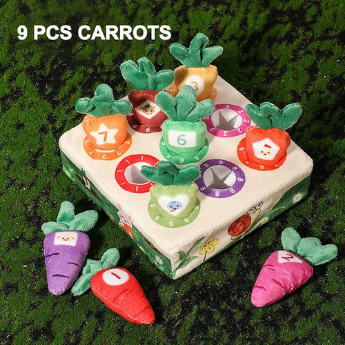 Montessori Carrot Pull Toddlers Toy, Numbers Colors Motor Skills Early