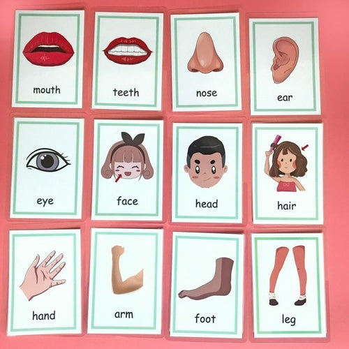 Baby Montessori Toys Emotion Weather Learning Card Cartoon English