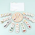 Load image into Gallery viewer, Life Cycle Board Montessori Kit Biology Science Education For Kids
