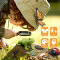 Load image into Gallery viewer, Children Simulation Biology Model Toy Animal Plant Life Growth Cycle
