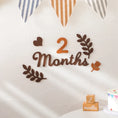 Load image into Gallery viewer, Baby Milestone Cards Soft Felt 0-12 Monthly Milestones Memorial
