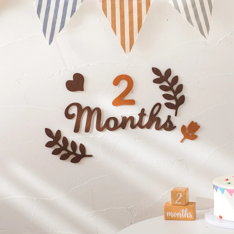 Baby Milestone Cards Soft Felt 0-12 Monthly Milestones Memorial