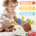 Load image into Gallery viewer, Montessori Educational Toy Fine Motor Toys for Toddlers 1-3 Hedgehog
