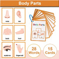 Load image into Gallery viewer, Montessori Kids Learning English Words Cards Kindergarten Teacher
