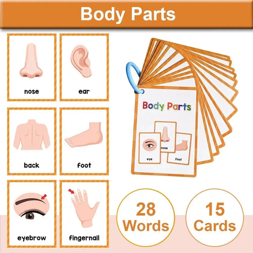 Montessori Kids Learning English Words Cards Kindergarten Teacher