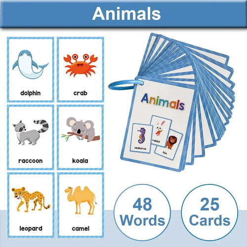 Montessori Kids Learning English Words Cards Kindergarten Teacher