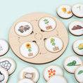 Load image into Gallery viewer, Life Cycle Board Montessori Kit Biology Science Education For Kids
