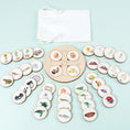 Load image into Gallery viewer, Life Cycle Board Montessori Kit Biology Science Education For Kids
