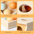 Load image into Gallery viewer, Montessori Infant Wooden Toys Coin Ball Busy Drum Color Shape
