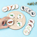 Load image into Gallery viewer, Life Cycle Board Montessori Kit Biology Science Education For Kids
