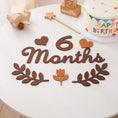 Load image into Gallery viewer, Baby Milestone Cards Soft Felt 0-12 Monthly Milestones Memorial
