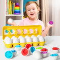 Load image into Gallery viewer, Eggs Screws 3D Puzzle Montessori Learning Education Math Toys Kids
