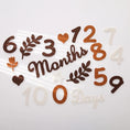 Load image into Gallery viewer, Baby Milestone Cards Soft Felt 0-12 Monthly Milestones Memorial
