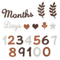 Load image into Gallery viewer, Baby Milestone Cards Soft Felt 0-12 Monthly Milestones Memorial
