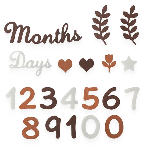 Baby Milestone Cards Soft Felt 0-12 Monthly Milestones Memorial