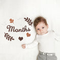 Load image into Gallery viewer, Baby Milestone Cards Soft Felt 0-12 Monthly Milestones Memorial
