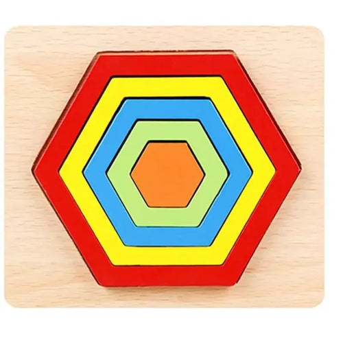 Montessori Shape Sorting Puzzle for Toddlers Baby Infant Preschool