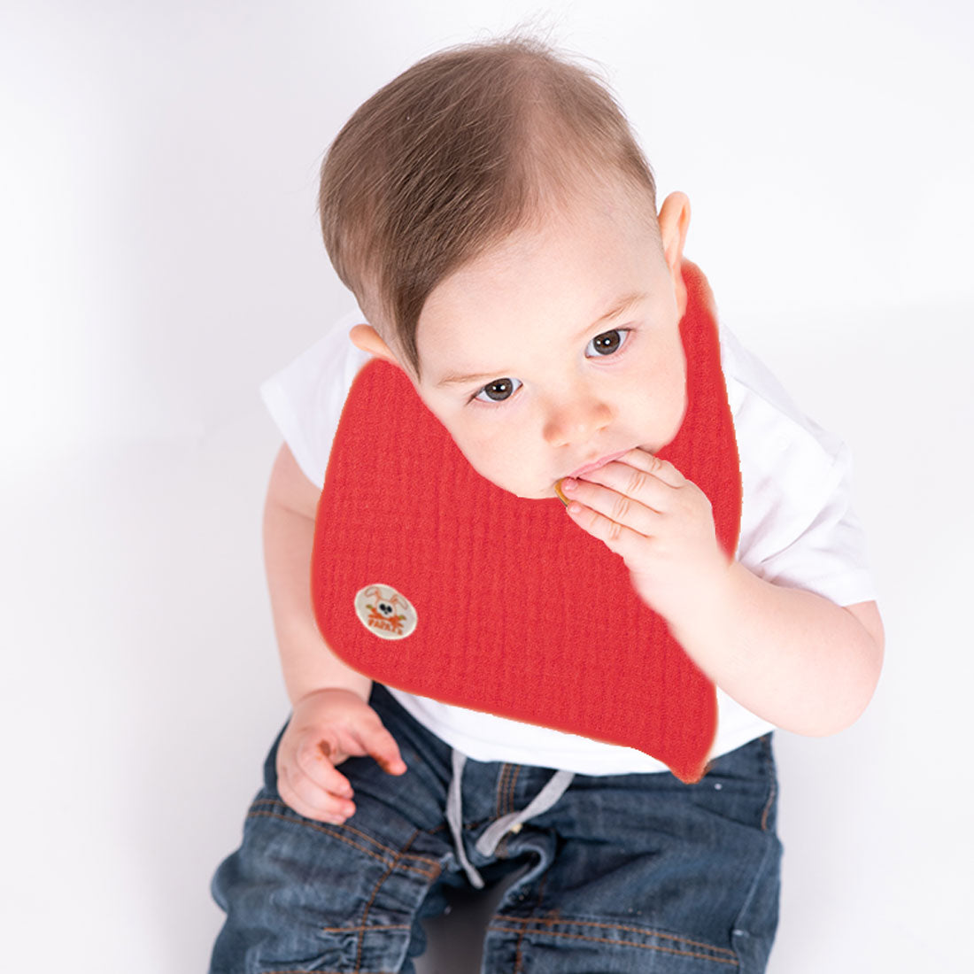 Organic Cotton Bib - Strawberry