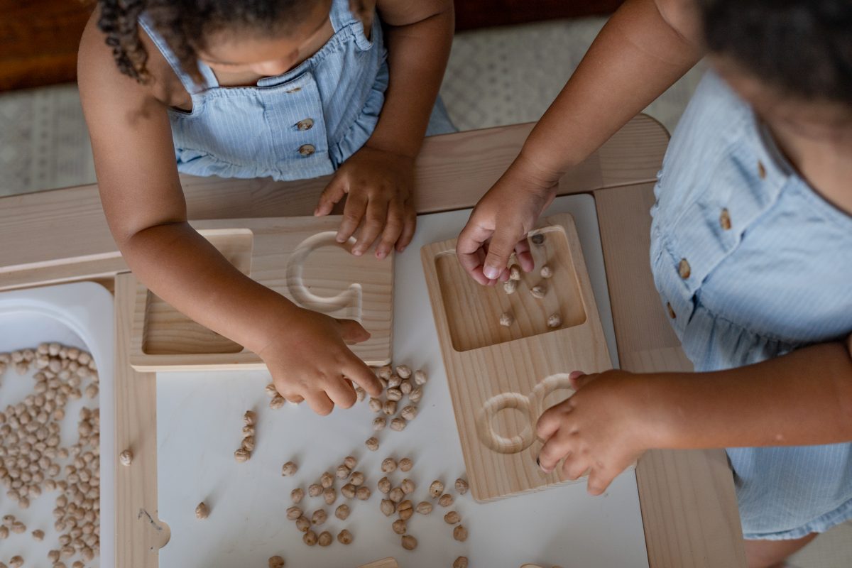 QToys Australia Jumbo counting tray