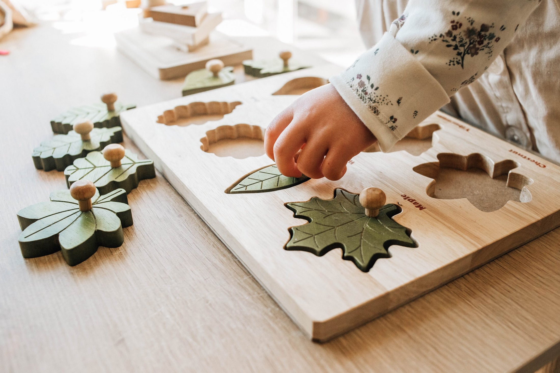 QToys Australia Leaf puzzle