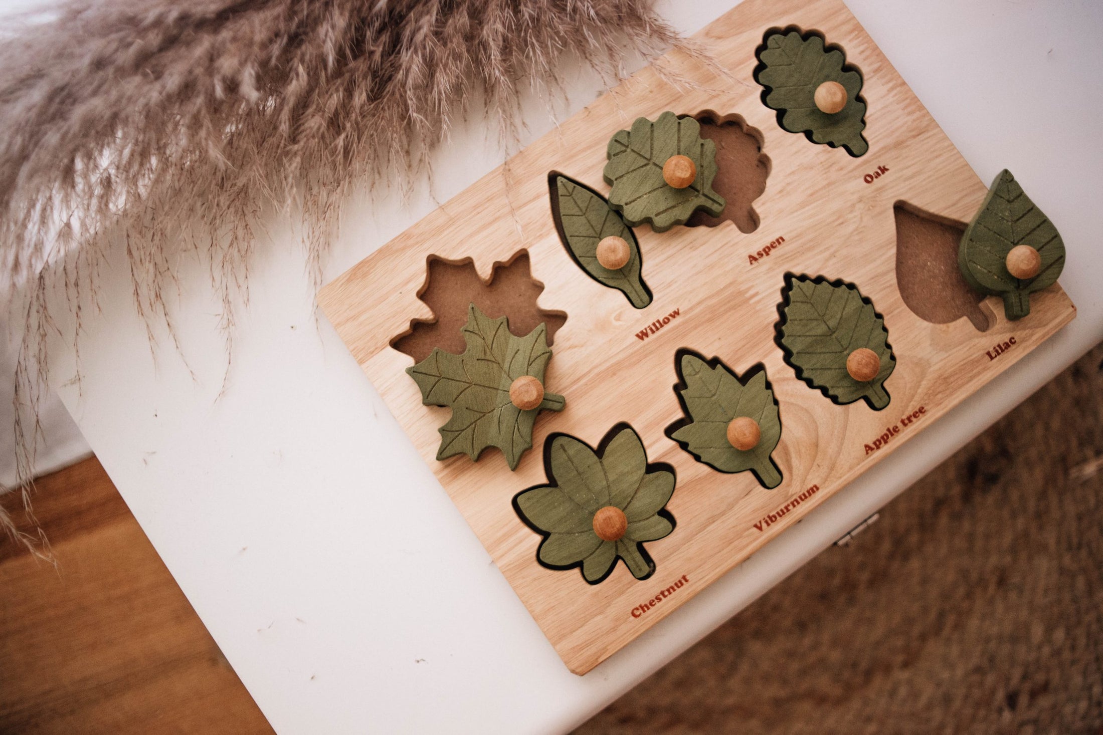 QToys Australia Leaf puzzle