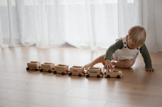 QToys Australia (USA) Sorting Train